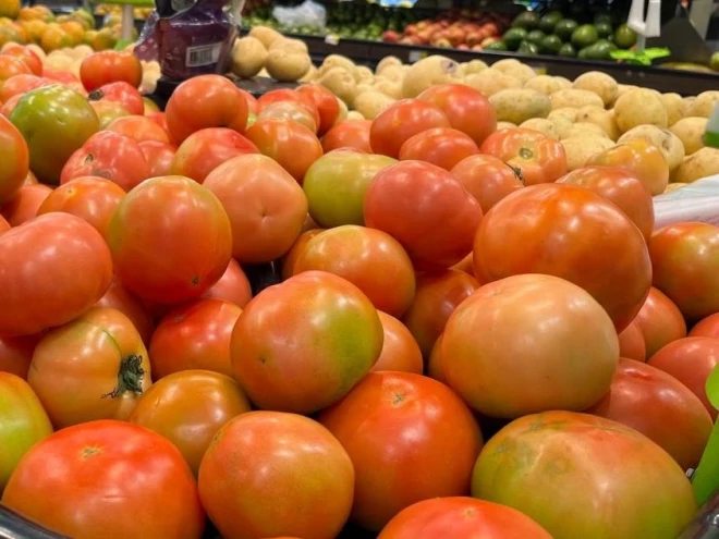 omates de diferentes tamanhos e estágios de maturação estão expostos em uma banca de supermercado.