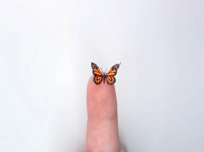 Foto Principal - Notícia